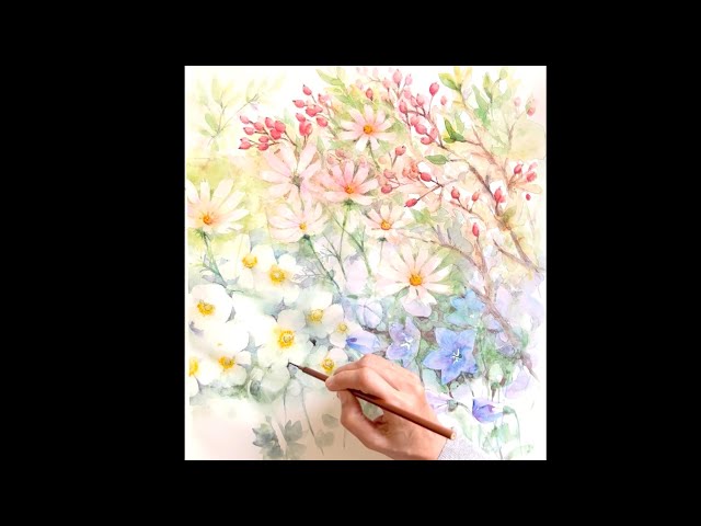 水彩画]秋の花を透明水彩で描く/シュウメイギクやコスモスなど