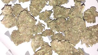 Big Foot Review Ft. Mom & WrestlingForever