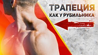 КАК НАКАЧАТЬ ТРАПЕЦИЮ? | ЛИЧНЫЙ ОПЫТ