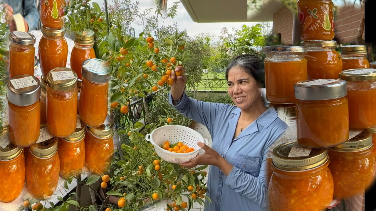 مربى حوامض بلكوني من الشجرة للقرعة مع كيفية الاحتفاظ به لمدة طويلة