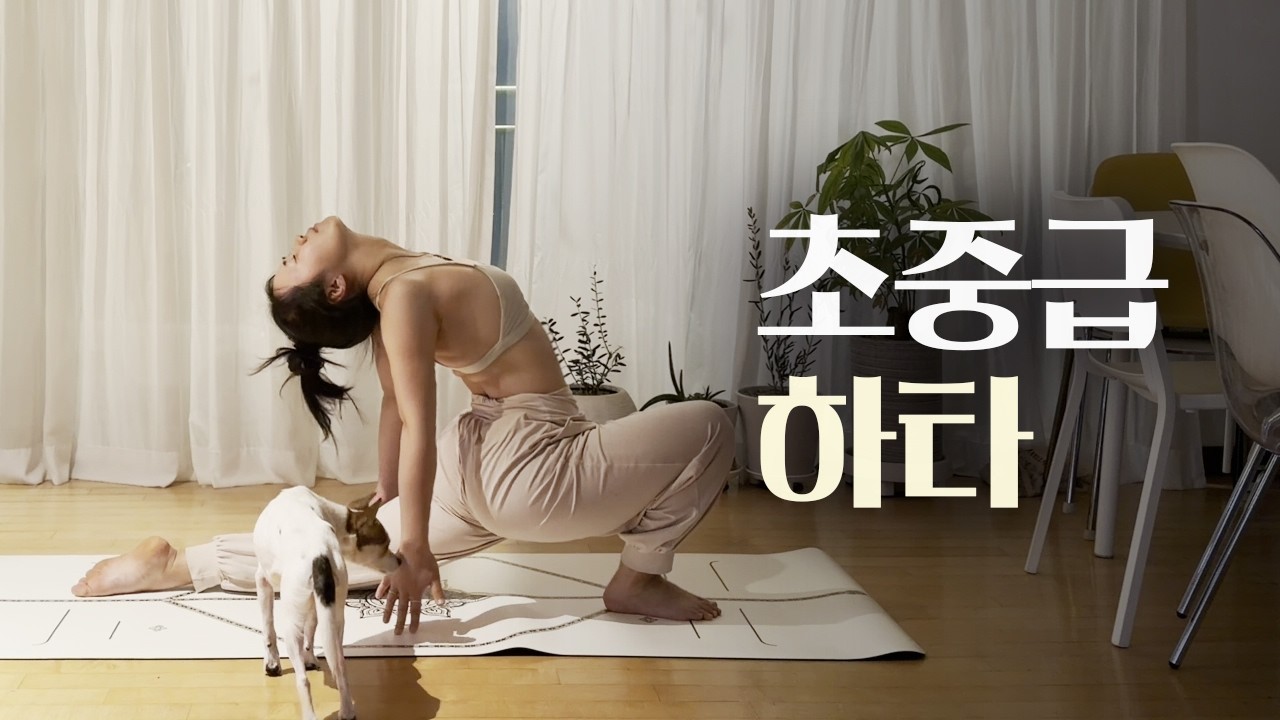 척추의 유연성을 기르는 후굴 수련 l 초중급 하타요가 30분