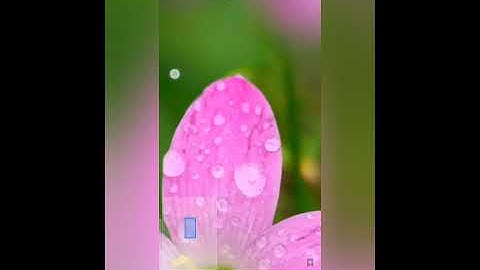 How to blur Background.Easy steps. #Snapseed#photography#malayalam#nature