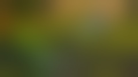 World Of Warcraft Vulpera Shaman