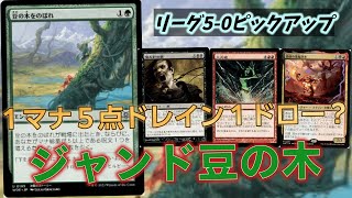 【#レガシー/#legacy】【ジャンド豆の木】MOパンダのわくわくレガシー！【MTG】【対戦動画】
