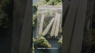 Famous Author Interview #13 - Who was Khun SA? Wealth