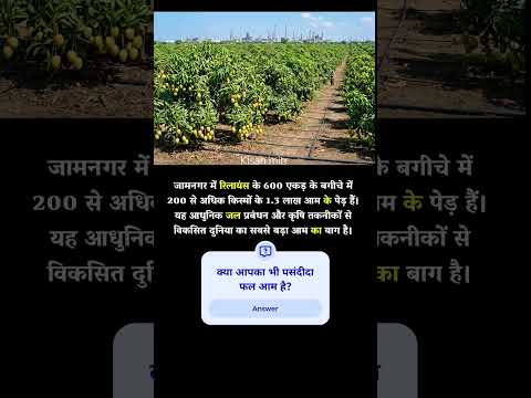 600 एकड़ में 1.3 लाख आम के पेड़! 🥭 रिलायंस के बाग से किसान क्या सीख सकते हैं? | #KisanMitr