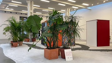 Hélio Oiticica at Lisson Gallery, NYC - Contemporary Art Exhibition and Installation