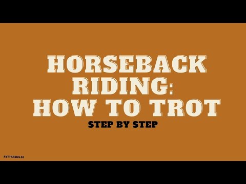 Horseback riding: How to Trot Step by Step