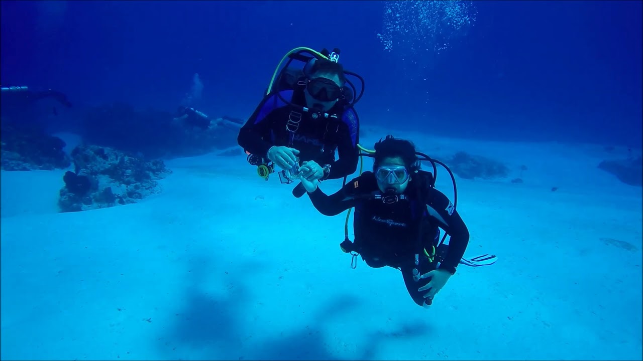 Aquarius Scuba in Cozumel