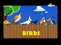 Learn About BIRDS | 3D Nursery Rhymes for Kids | Kindergarten | Preschool Songs For Children