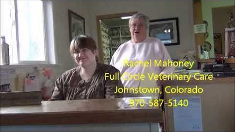 Thumbnail of Rachel Mahoney, Office Manager of Full Circle Veterinary Care