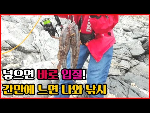 넣으면 나오는 재미있는 갯바위 루어낚시