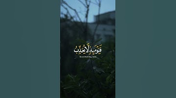 اكتب شي تؤجر عليه ♡✨️ ｜ القارئ رعد الكردي ｜ قرآن كريم
