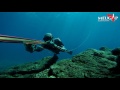 Spearfishing Pulau Tengkorak - Indonesia - Aceh