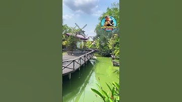 Nông trại cá rồng Hồng Anh