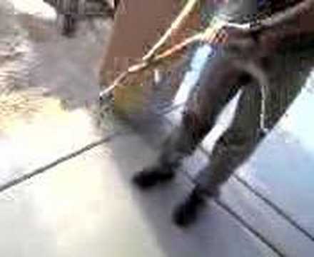 Headless Rattlesnake Attack