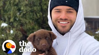 Guy Finds A Family Of Puppies Living Under A Couch | The Dodo