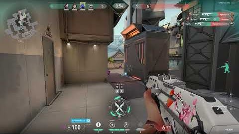 Valorant Headshot Hitbox?