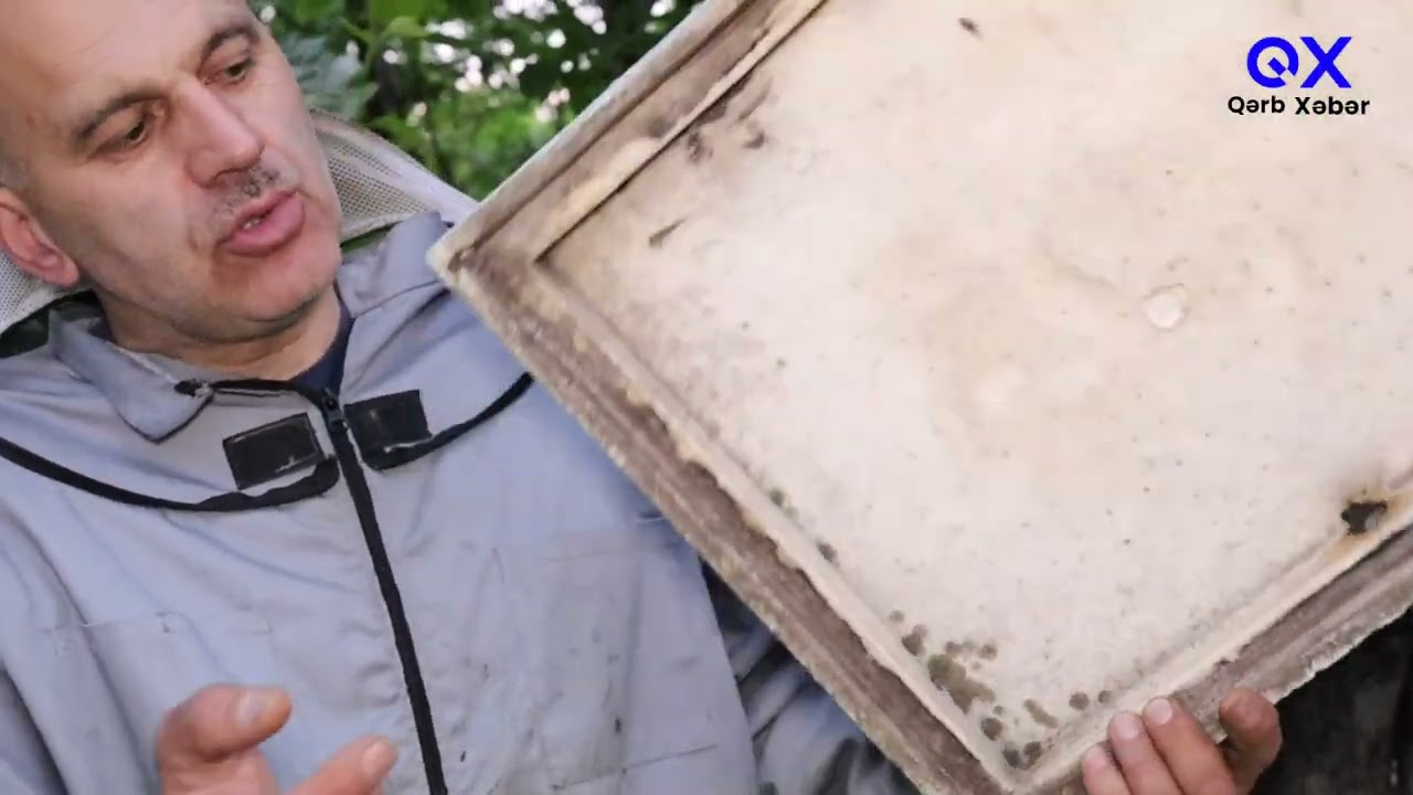 Xəyal Qarayevdən tövsiyələr - Arıxananın köçə hazırlanması