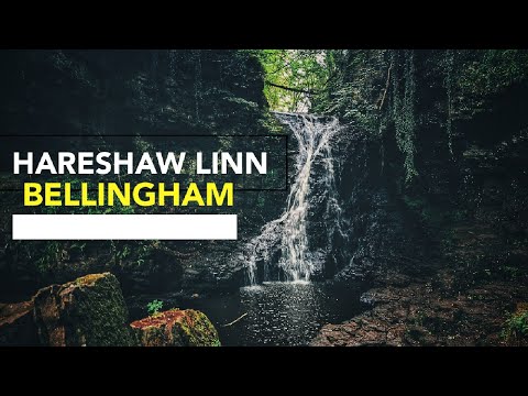 One Day Walk | Hareshaw Linn Waterfall, Northumberland National Park