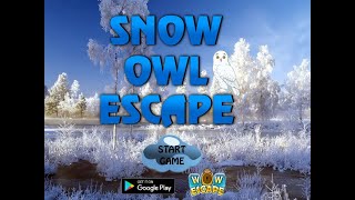 snow owl escape video walkthrough screenshot 5