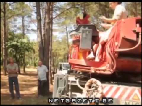 პარტიზანი მებაღეები