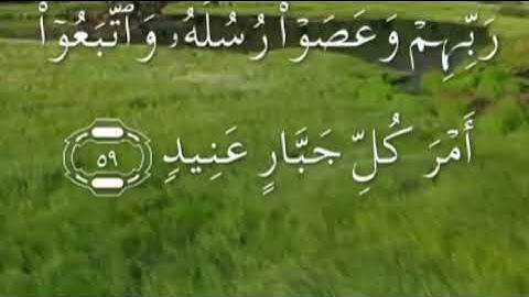 سورة هود صفحة ٢٢٨ مكتوبة مكررة بصوت سعد الغامدي