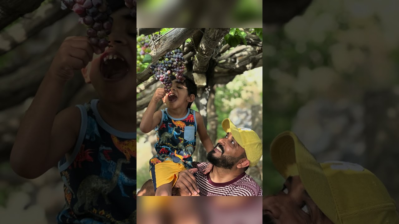 Day with Wakkan Village