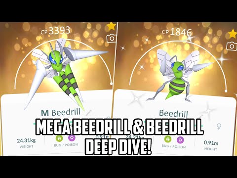 Drill Run Beedrill