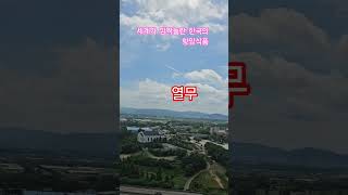 세계가 깜짝놀란 한국의 항암식품 #생생정보