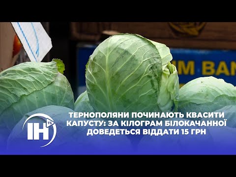 Телеканал ІНТБ: Тернополяни починають квасити капусту: за кілограм білокачанної доведеться віддати 15 грн Телеканал ІНТБ: Тернополяни починають квасити капусту: за кілограм білокачанної доведеться віддати 15 грн