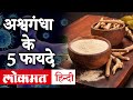 Ashwagandha Benefits in Hindi: अश्वगंधा कई बीमारियों के लिए है रामबाण, जानिए क्या हैं इसके फायदे