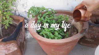 a day in my life  | aesthetic vlog ✨ | chill vlog | village life vlog | Nidhiinkitchen