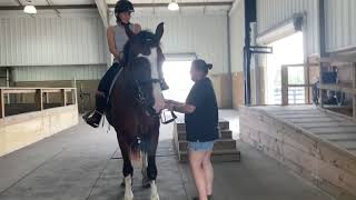 Elizabeth Carr's PATH International CTRI Application Video