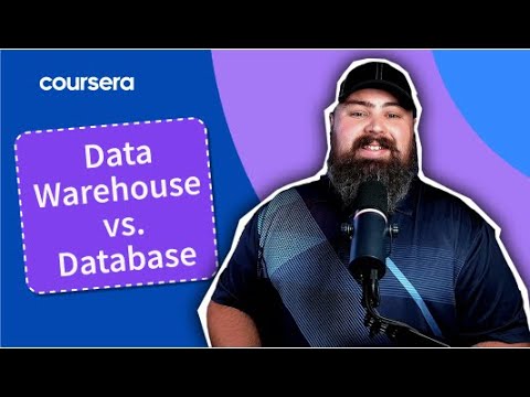 Data Warehouse vs. Database: Which One Do You Need?