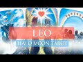 LEO - YOU CAPTURED THEIR HEART