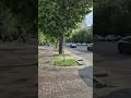 Важный вопрос! #вопрос