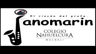 Video thumbnail of "Mi equilibrio espiritual (Guitarra, voz, flauta, bajo) - Profe janomarin"