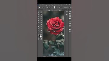 Color isolation effect in photoshop  #photomanipulation