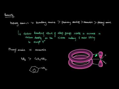 Amines & Phenylamine