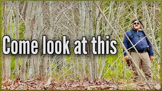 He Said It Is One Of The Strangest Things He Ever Found In The Woods Metal Detecting