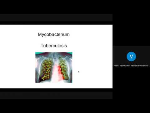 Mycobacterium (Tuberculosis, Leprae, Avium)