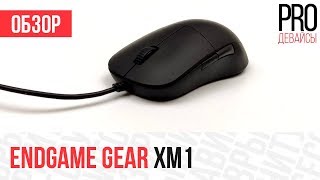 Обзор Endgame Gear XM1. S1mple тащит точно из-за нее