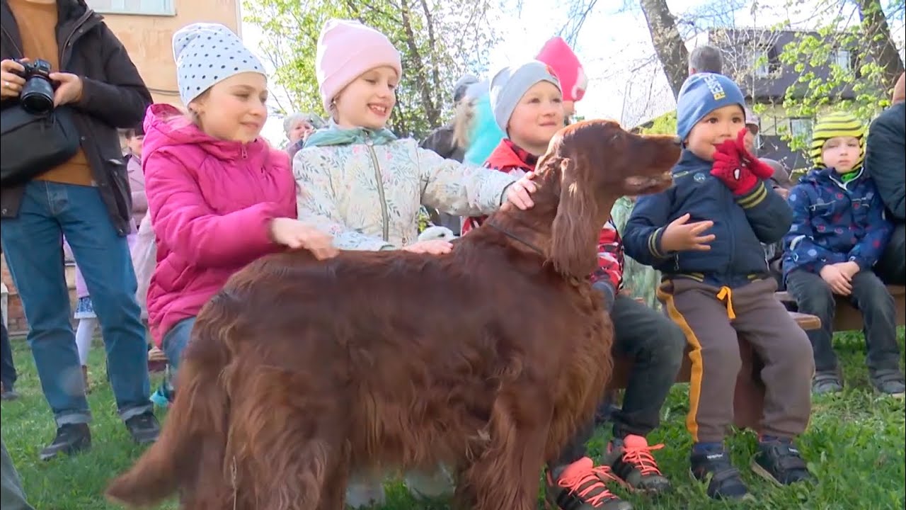 Музей – о Пришвине и собаках - YouTube