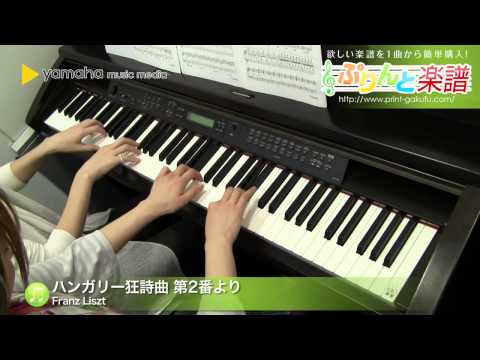 ハンガリー狂詩曲 第2番より Franz Liszt