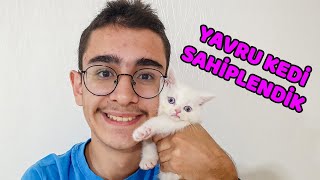 Buğra İle Berata Yavru Kedi̇ Sürpri̇zi̇ Vlog 