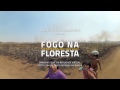 Fogo na Floresta | Trailer