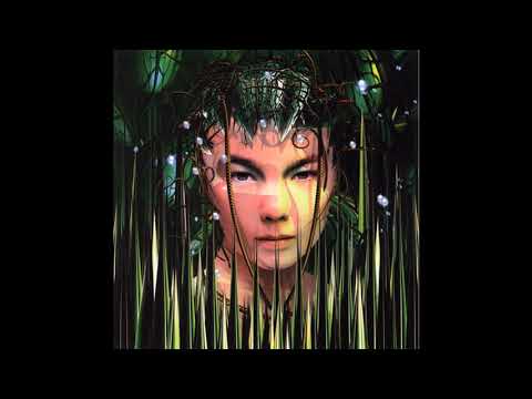 Björk – Bachelorette – Box Set 3 x CD, VHS, 1997 [r72592] | Discogs