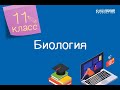 Биология. 11 класс. Роль активного транспорта в поддержании мембранного потенциала /26.10.2020/