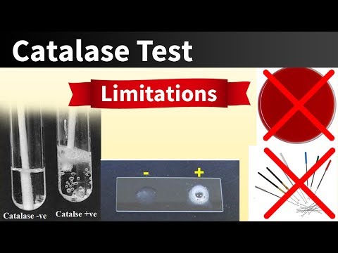 Catalase Test Limitations ( Must watch before the Test )